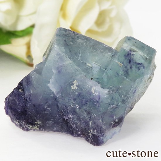  󥴥뻺 ֥롼ե饤Ȥθ 37.5gμ̿0 cute stone