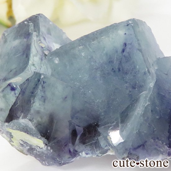  󥴥뻺 ֥롼ե饤Ȥθ 37.5gμ̿1 cute stone