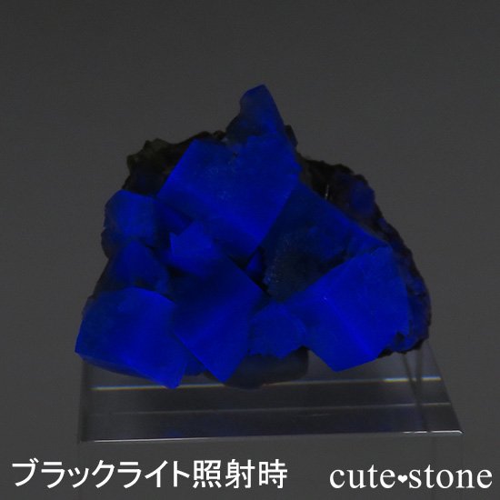 󥰥 ꡼ۻ ָե饤Ȥդ뾽ʸС20gμ̿0 cute stone