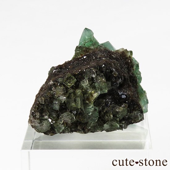 󥰥 ꡼ۻ ָե饤Ȥդ뾽ʸС20gμ̿1 cute stone