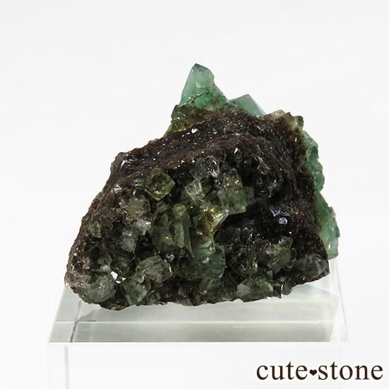 󥰥 ꡼ۻ ָե饤Ȥդ뾽ʸС20gμ̿1 cute stone
