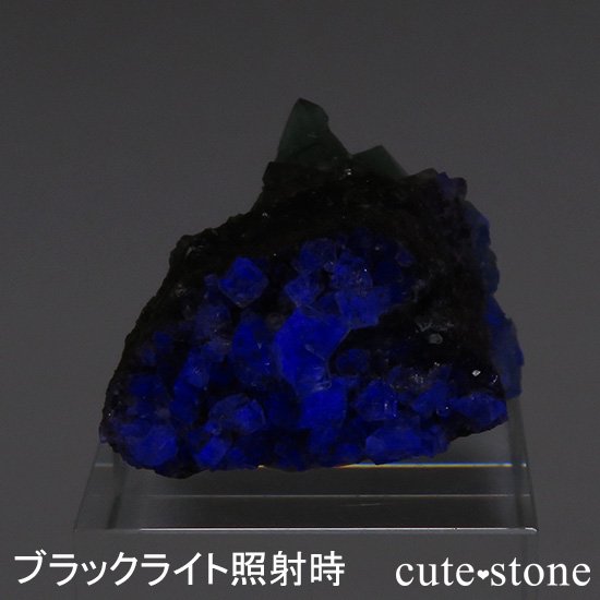 󥰥 ꡼ۻ ָե饤Ȥդ뾽ʸС20gμ̿2 cute stone