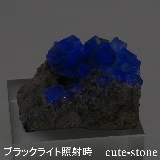 󥰥 ꡼ۻ ָե饤Ȥդ뾽ʸС13gμ̿0 cute stone