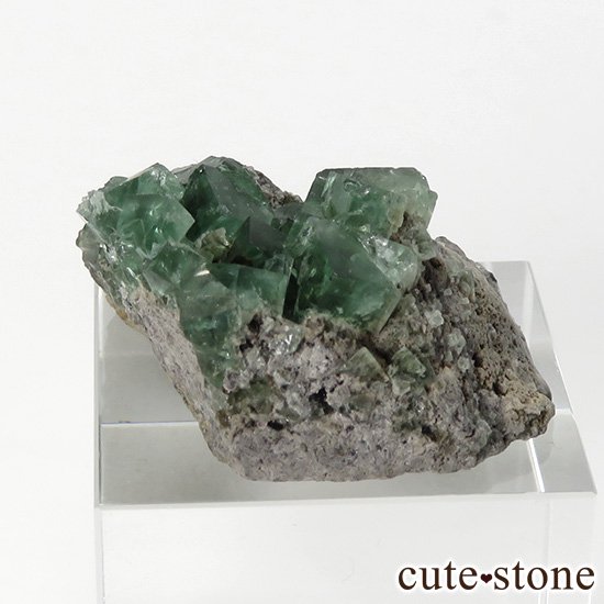 󥰥 ꡼ۻ ָե饤Ȥդ뾽ʸС13gμ̿1 cute stone