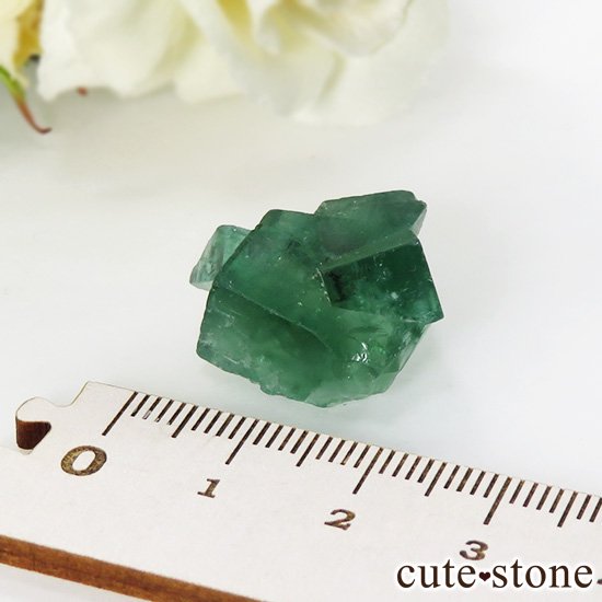 󥰥 ꡼ۻ ָե饤Ȥη뾽ʸС5.7gμ̿2 cute stone