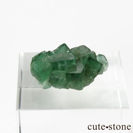 󥰥 ꡼ۻ ָե饤Ȥη뾽ʸС3.6g