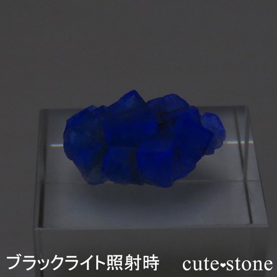 󥰥 ꡼ۻ ָե饤Ȥη뾽ʸС3.6gμ̿0 cute stone