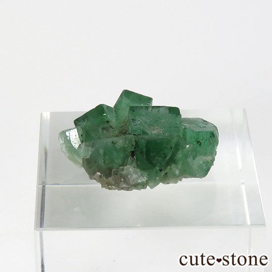 󥰥 ꡼ۻ ָե饤Ȥη뾽ʸС3.6gμ̿1 cute stone