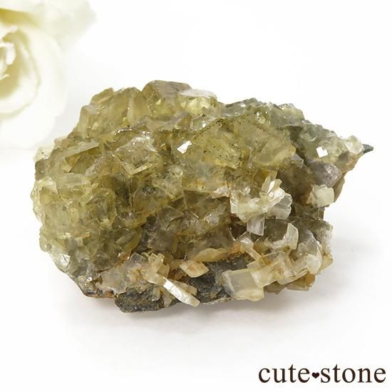 ڥ ⥹ʹۻ ե饤 51gμ̿0 cute stone