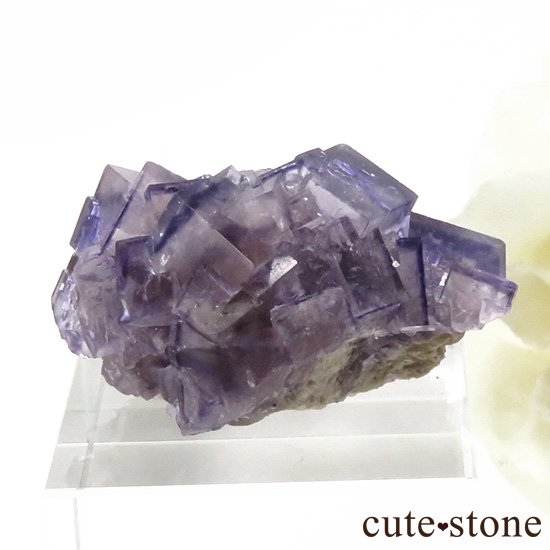 ʻ ѡץե饤ȤΥ饹ʸС15gμ̿0 cute stone