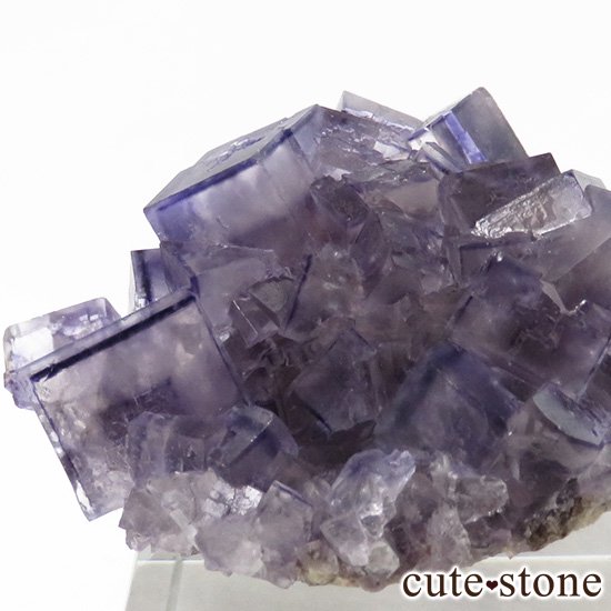 ʻ ѡץե饤ȤΥ饹ʸС15gμ̿1 cute stone