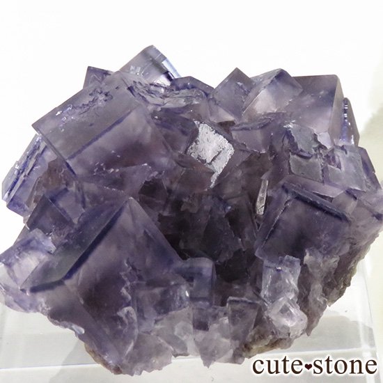 ʻ ѡץե饤ȤΥ饹ʸС15gμ̿2 cute stone