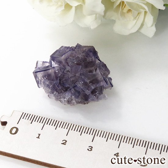 ʻ ѡץե饤ȤΥ饹ʸС15gμ̿4 cute stone