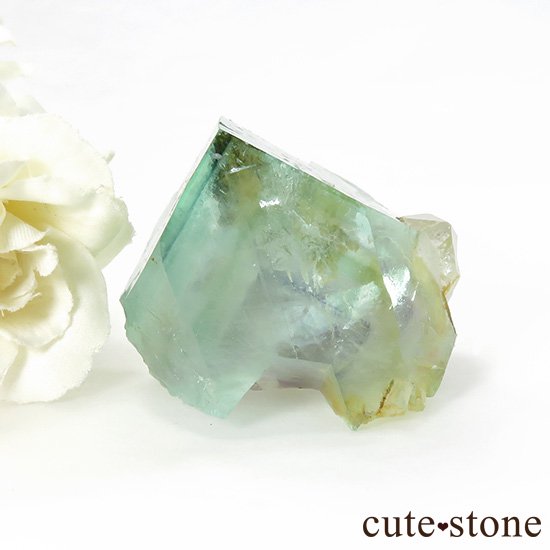  󥴥뻺 ꡼ե饤Ȥθ 77gμ̿0 cute stone