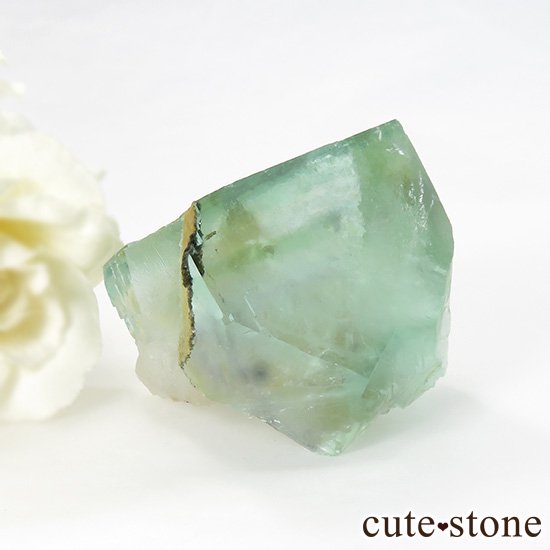  󥴥뻺 ꡼ե饤Ȥθ 77gμ̿1 cute stone