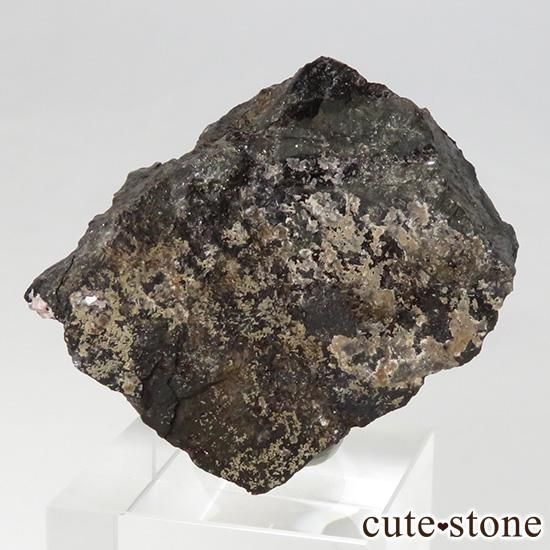 ڥ롼 ɥȡʥ󥫥ˤդ뾽ʸС 40gμ̿1 cute stone