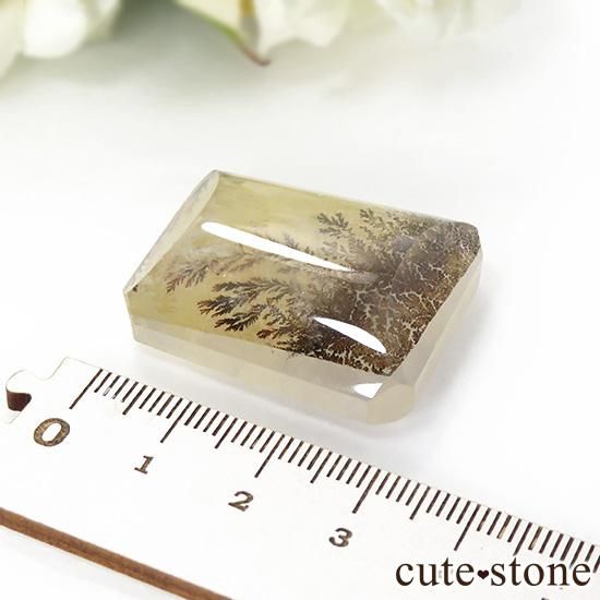 ޥ뻺 ǥɥƥåĤΥ롼 18.6gμ̿1 cute stone