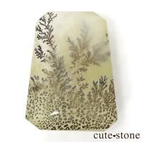 ޥ뻺 ǥɥƥåĤΥ롼 11.1gβ