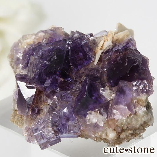 ڥ ٥٥ ѡץե饤ȡʹʪɸܡ12gμ̿1 cute stone