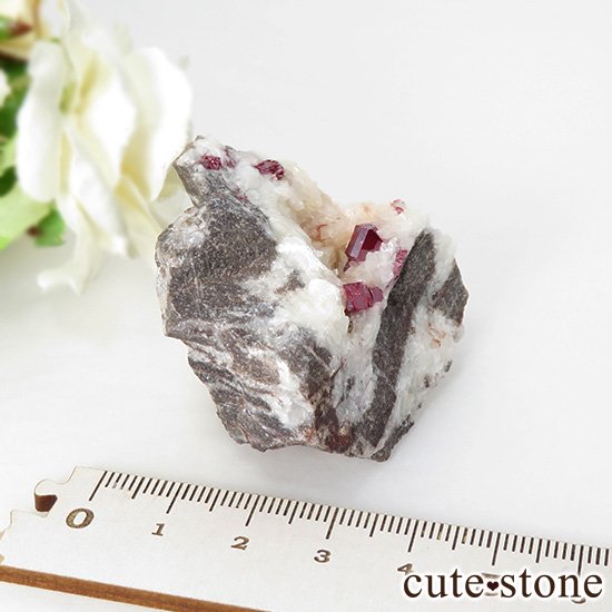 äʥ󥷥˥ʥСդ 63gμ̿5 cute stone