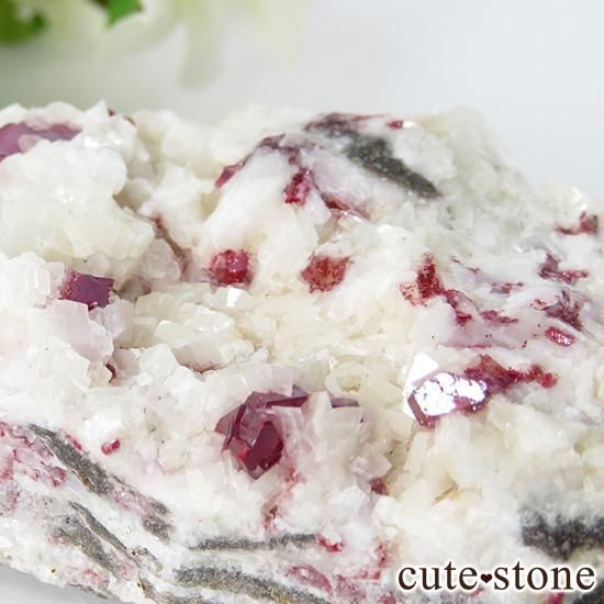 äʥ󥷥˥ʥСդ 151gμ̿1 cute stone
