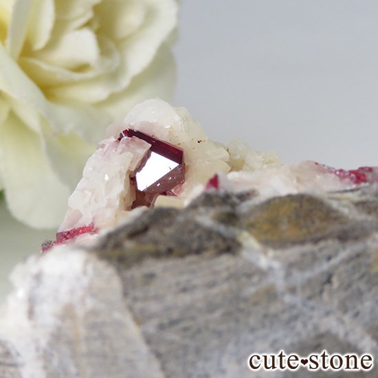 äʥ󥷥˥ʥСդ 88gμ̿1 cute stone