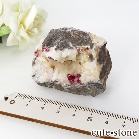 äʥ󥷥˥ʥСդ 88gμ̿3 cute stone