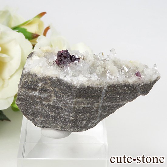 äʥ󥷥˥ʥСդ 25gμ̿0 cute stone