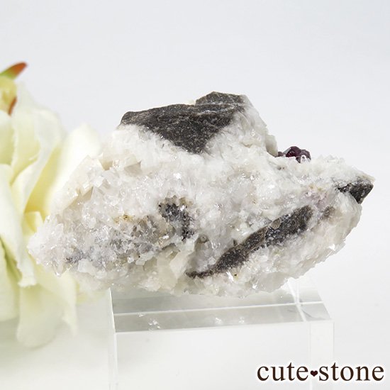 äʥ󥷥˥ʥСդ 32gμ̿0 cute stone