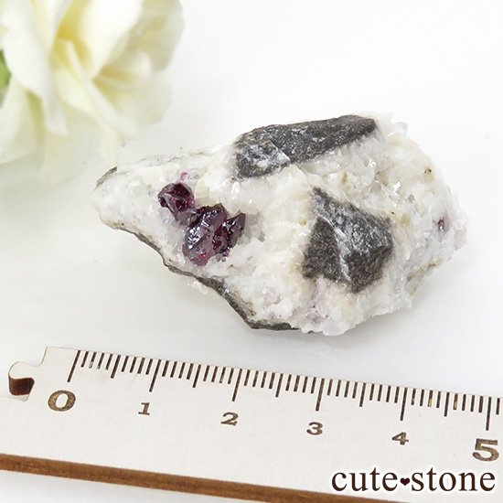 äʥ󥷥˥ʥСդ 32gμ̿2 cute stone