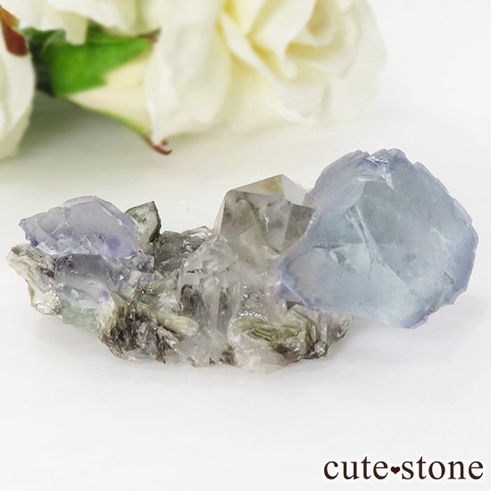 䥪󥷥 ե饤() 徽ζɸ 28gμ̿0 cute stone