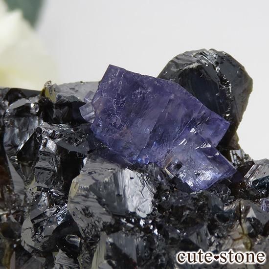 ꥫ ०åɹۻ ѡץ֥롼ե饤Ȥθ 44gμ̿1 cute stone