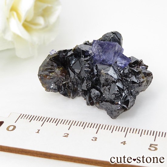 ꥫ ०åɹۻ ѡץ֥롼ե饤Ȥθ 44gμ̿3 cute stone