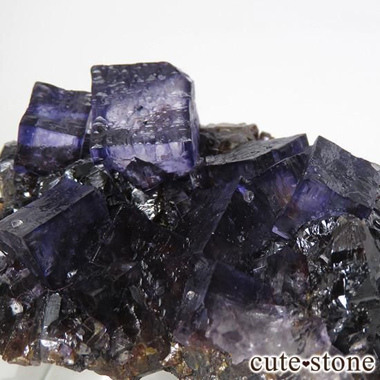 ꥫ ०åɹۻ ѡץե饤Ȥθ 41gμ̿1 cute stone