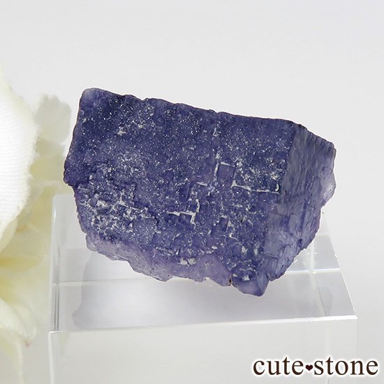 ꥫ ०åɹۻ å󥰥ե饤Ȥθ 12.7gμ̿0 cute stone