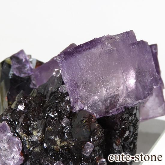 ꥫ ०åɹۻ ѡץåɥե饤Ȥθ 41gμ̿3 cute stone