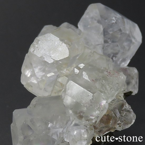 ᥭ ʥۻ 顼쥹ե饤ȤθСʥ饹84gμ̿2 cute stone