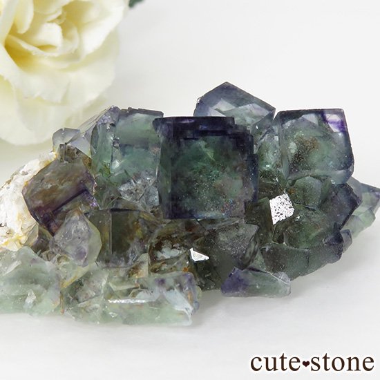 ʥߥӥ֥롼ߥ꡼ե饤Ȥθ 49gμ̿2 cute stone