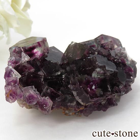 ʥߥӥåɥѡץե饤Ȥθ 98gμ̿1 cute stone