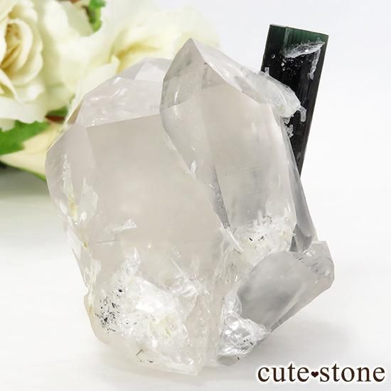 ѥ ꡼󥭥åץȥޥ  徽 98gμ̿0 cute stone