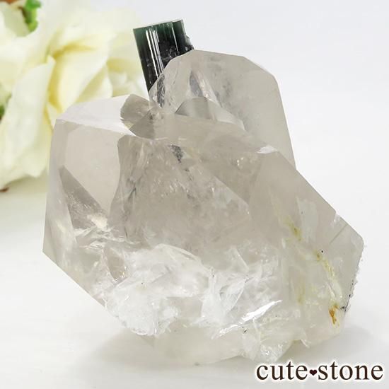 ѥ ꡼󥭥åץȥޥ  徽 98gμ̿1 cute stone