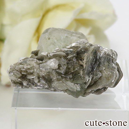 パキスタン ナガル産 グリーンフローライトの母岩付き原石 8g - cute 