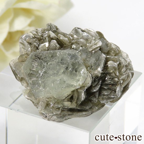 ѥ ʥ뻺 ꡼ե饤Ȥդ 8gμ̿2 cute stone