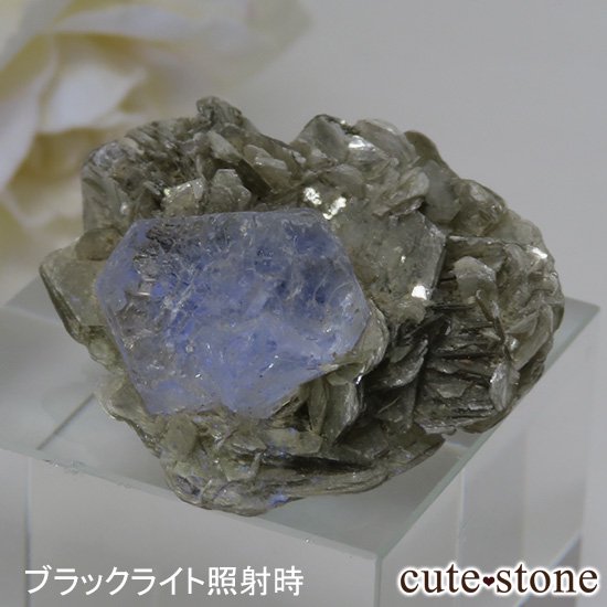 ѥ ʥ뻺 ꡼ե饤Ȥդ 8gμ̿3 cute stone