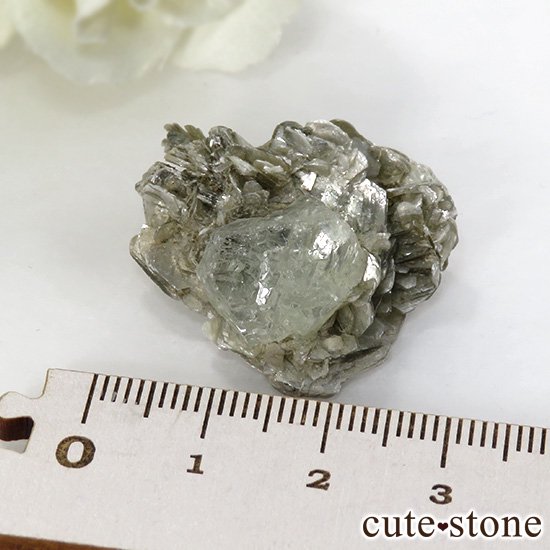 ѥ ʥ뻺 ꡼ե饤Ȥդ 8gμ̿4 cute stone