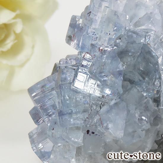 ڥ La Viesca Mine ֥롼ե饤()θ 84gμ̿1 cute stone