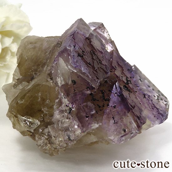 Υ Victory Mine ѡץߥե饤()θ 147gμ̿0 cute stone