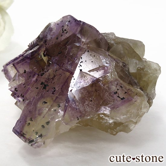 Υ Victory Mine ѡץߥե饤()θ 147gμ̿2 cute stone