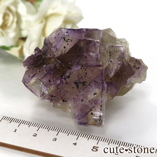 Υ Victory Mine ѡץߥե饤()θ 147gμ̿5 cute stone