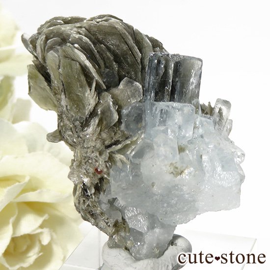 ѥ ޥդ뾽ʸС33gμ̿0 cute stone